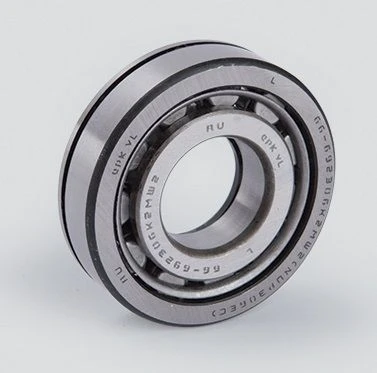 Rolling Bearing Cylindrical Roller 66-692306K2MSh2