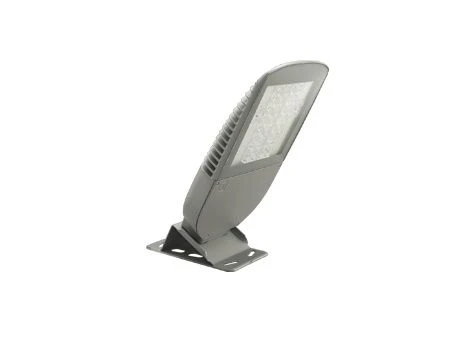 Rigel LED 55 LED Light Fixture