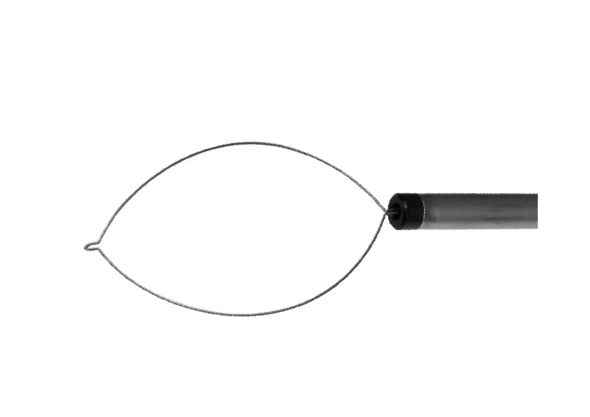 Diathermic Loop for Polypectomy Ø 5 mm, Length 460 mm