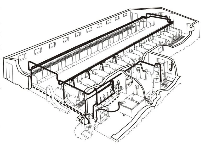 Milking Machine with Pipeline ADM-8A-200 for 200 Cattle