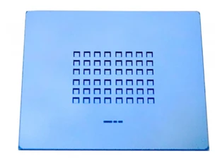 Biochemical Microchip for Food Control and Diagnostics