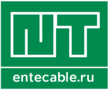 ENTE LLC