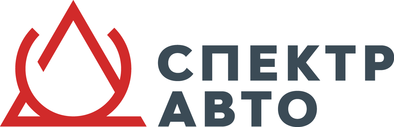 SPECTR-AUTO LLC
