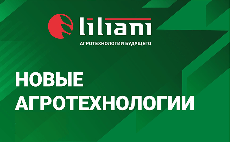ООО "ЛИЛИАНИ"