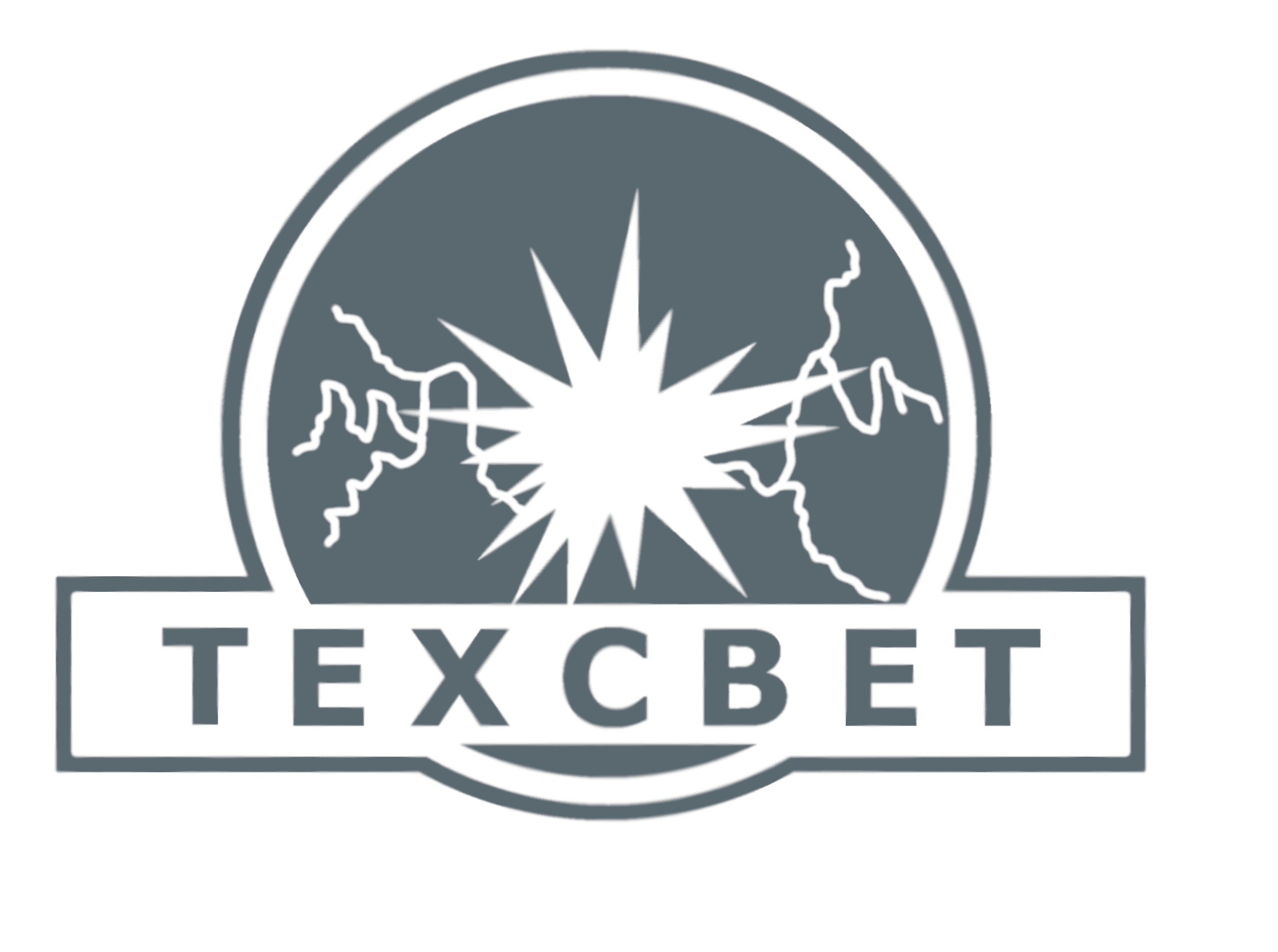 TECHSVET LLC