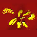 ABAKTUM LLC