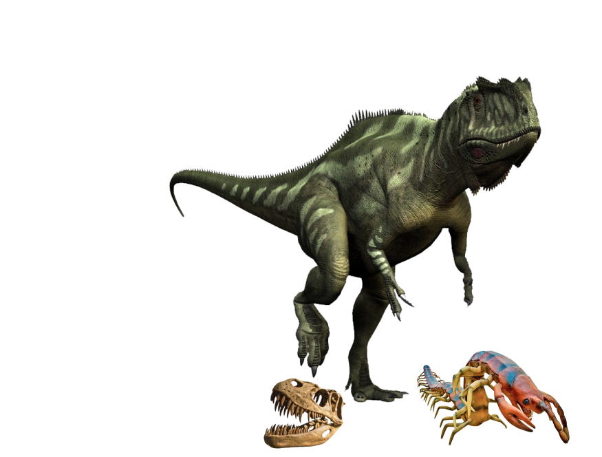 DINOMASHINA LLC