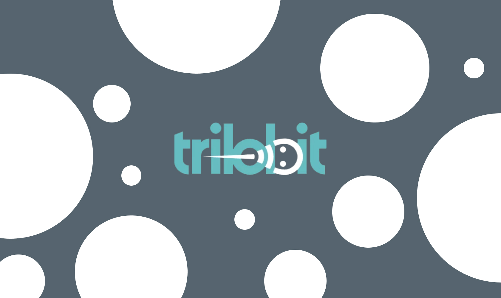 TRILOBIT LLC
