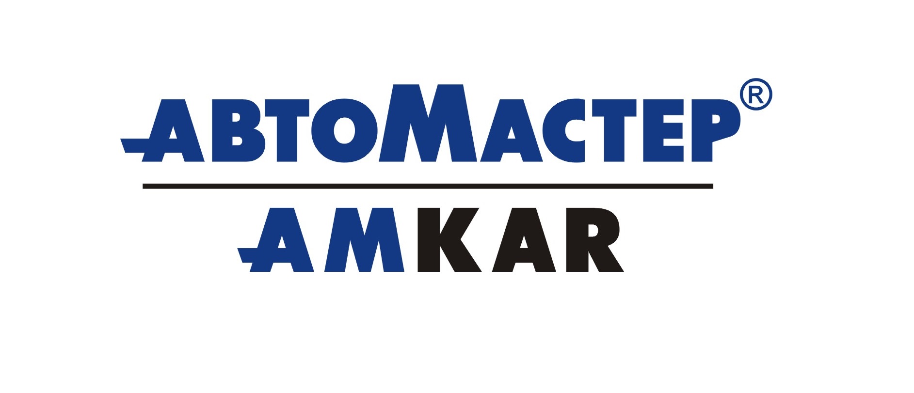 AUTOMASTER LLC