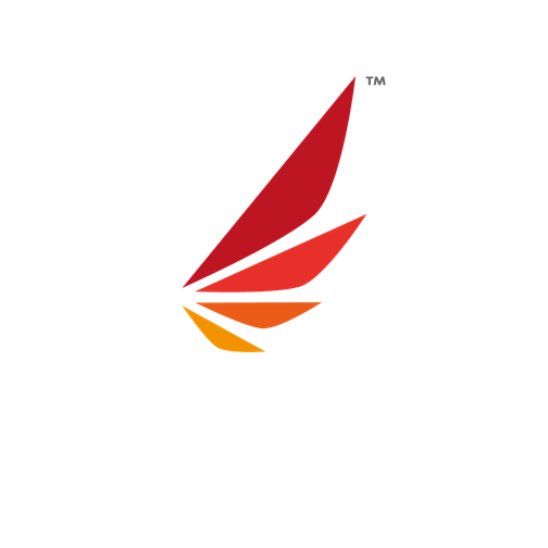 AEROB LLC