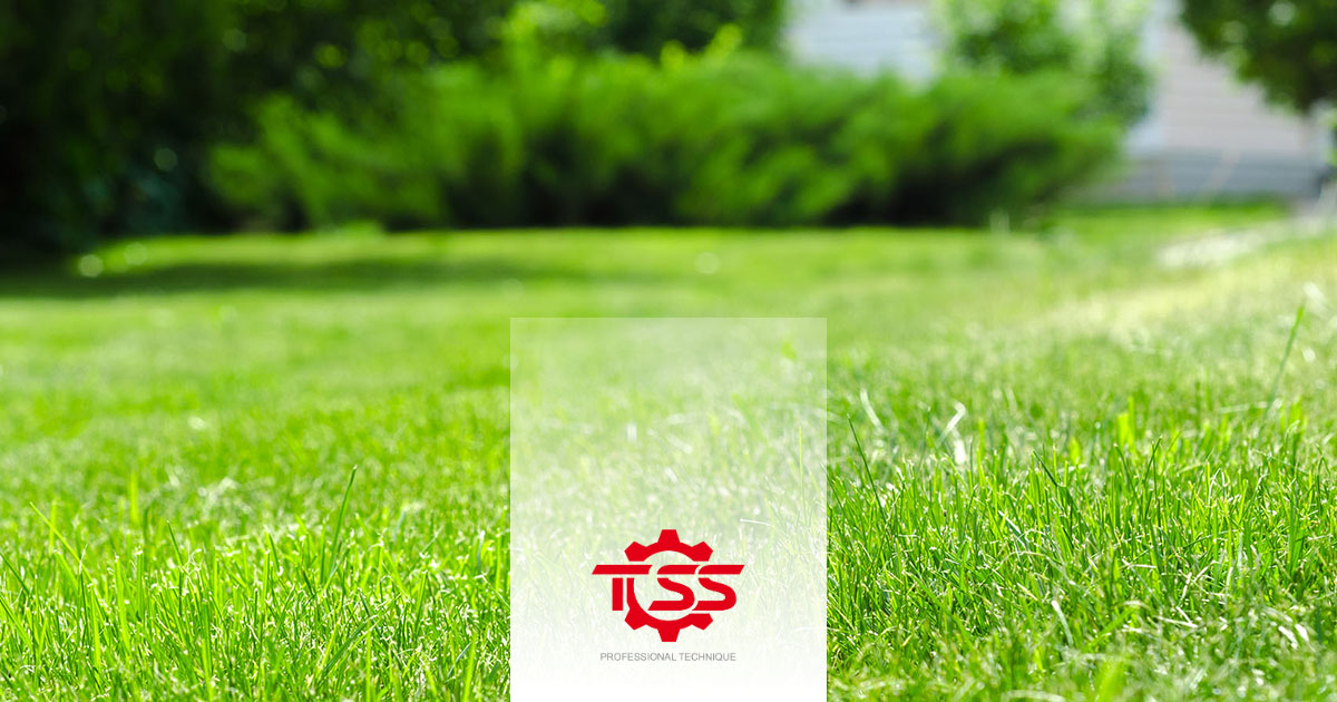 TOSS IT LLC