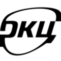 DIGITAL COMPANY LLC