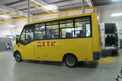 Special Passenger Buses with Gasoline Engine Type 224380 M2, Models 22438P, 22438R, 22438J, 22438E