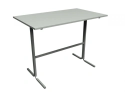 Medical Writing Table SMP-01g
