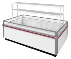 Low-Temperature Island Refrigerated Display Case Ritsa VXN-1.7