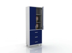 Document Cabinet for Medical Institutions 105-003-19