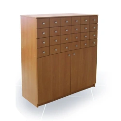 Wooden File Cabinets for Government Institutions - Samodelkin Type 1