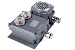 PASV1-M "Modernized" Light and Sound Alarm Post