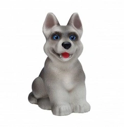 Friendly Siberian Husky Puppy - Perfect Companion