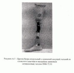 Therapeutic Training Hip Prosthesis PN6-72