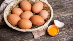 Fresh Grade 1 Table Chicken Eggs