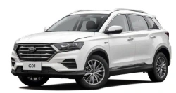 SWM G01 Crossover Car, 1.5L Engine, Gasoline, DCT, FWD