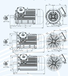 DV-250 Explosion-Proof Three-Phase Induction Motor 75kW
