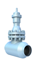 Regulating Valve for Atomic Power Plants PT68083-150-30