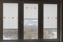 Roller Blinds "IMPERIA JALOUSIE