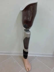 Modular Hip Prosthesis with Microprocessor Control Model 8-07-12