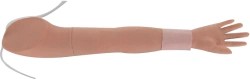 Multi-functional Injection Training Model of Adult Right Hand, Art. NS6005