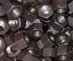 Hex Nuts
