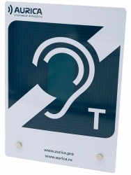 Aurica NF-120 Induction System