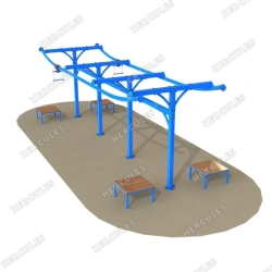 Monorail Transport System for Efficient Urban Transit