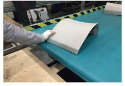 Trunk Door Right Cover Panel with Fixed Window for Lightweight Vehicles