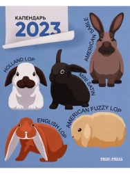 Colorful Magnetic Tear-Off Calendars of Various Sizes