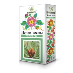 Common Pine Buds for Health Benefits