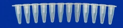 Non-Sterile Polymer Test Tube for In Vitro Diagnosis - PM3-7-21-PP