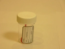 Sterile Disposable Polymer Container for Biological Samples - COS 60ml with Label and Spoon