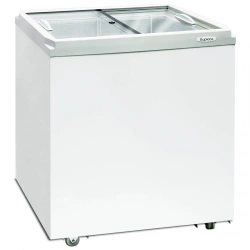 Biryuza 200ZL Chest Freezer for Food Industry