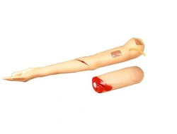 Arm Model for Practicing Brachial Artery Bleeding Control G105-2