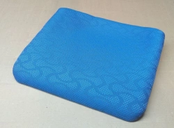 Passenger Seat Cushion L01R35.6823010
