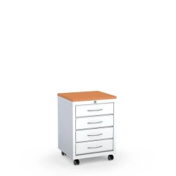 Documentation Storage Cabinet Model 1291