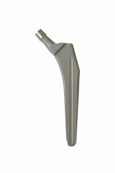 Cement Fixation Femoral Component, Lateral Modification