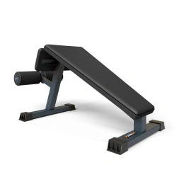 Professional Abdominal Bench for Crunch Training BF-310