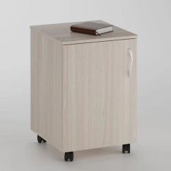 Mobile Cabinet with 1 Shelf and Door