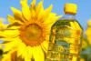 High-Quality Unrefined Sunflower Oil - First Grade