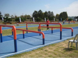 Horizontal Log PP Element