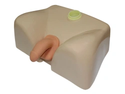 Male Urinary Catheterization Trainer MU0215