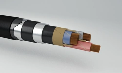 Power Cables with Copper Conductors and Paper Insulation, Lead Sheath, Including Control Wires